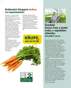 Náhled letáku Billa leták - Gusto: Podzim 2026 od 01.09.2026 | Strana: 13 | Produkty: Mrkev, Skleník, Bylinky, Chilli