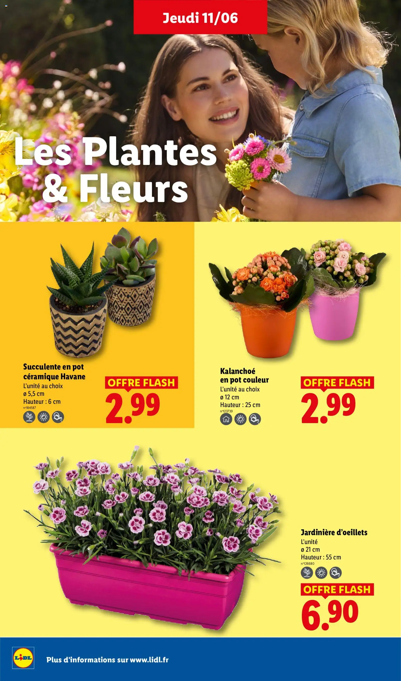 {H1} | Page: 28 | Produits: Plantes, Jardinière