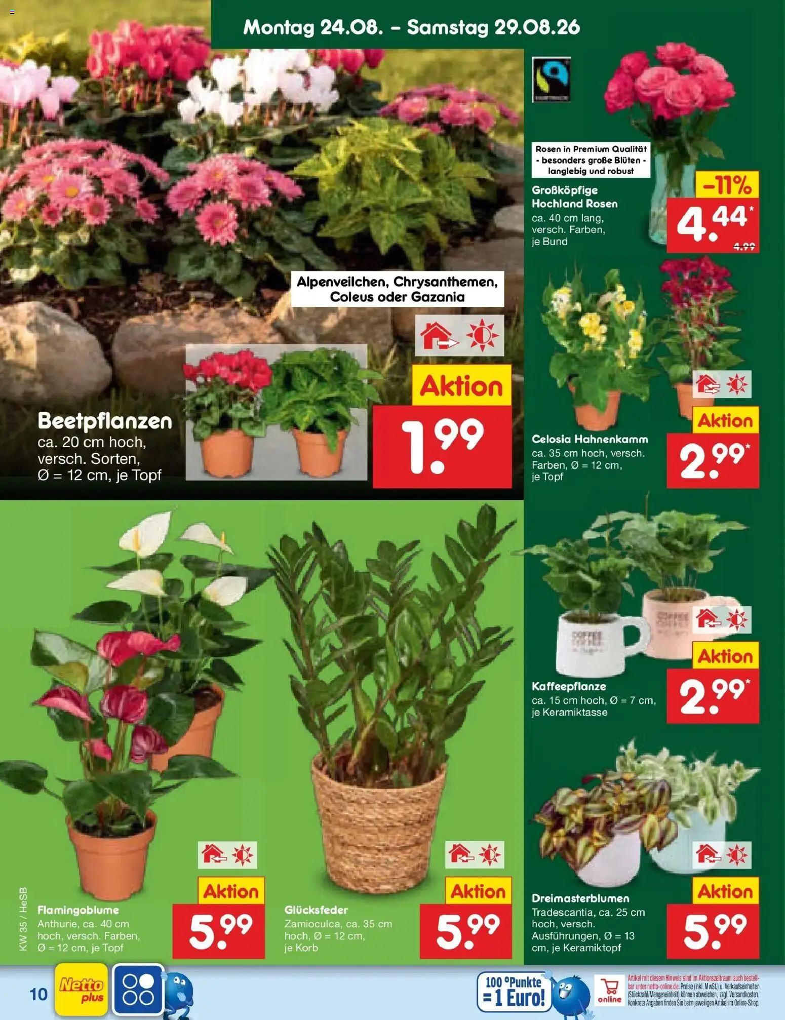 Netto Marken-Discount Prospekt Hamburg (ab 24.08.2026) » Angebote | Seite: 14 | Produkte: Korb