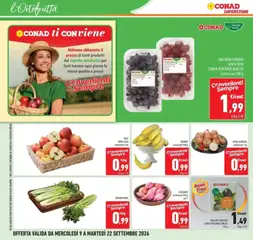 Anteprima del volantino SEDANO VERDE, Sedano verde valido a partire dal 09/09/2026 | Pagina: 26