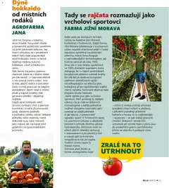 Náhled letáku Billa leták - Gusto: Podzim 2026 od 01.09.2026 | Strana: 11 | Produkty: Dýně Hokkaido, Rýže, Okurky, Dýně