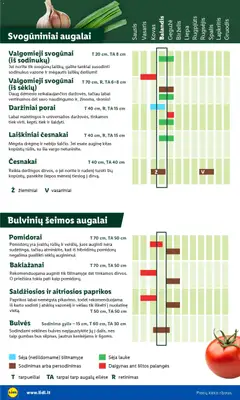 LIDL leidinys galioja nuo 20.02.2026 | Puslapis: 6 | Prekių: Svogūnai, Bulvės, Pomidorai