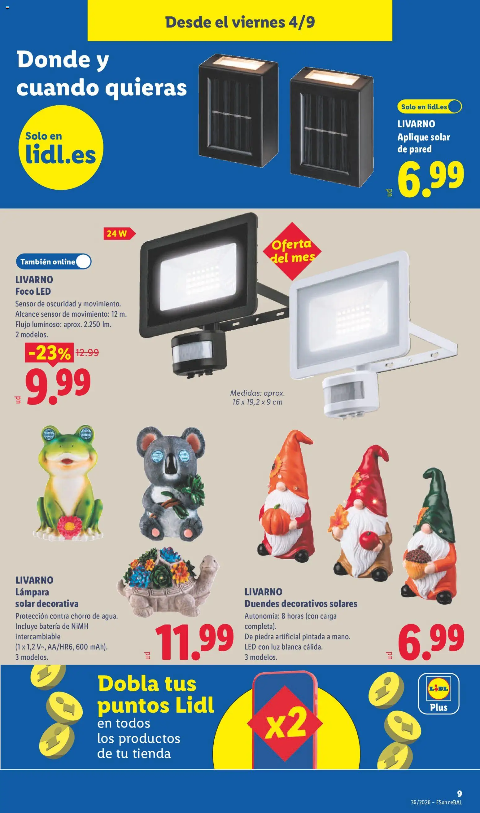 Lidl folleto de bazar │ válido desde el 31/08/2026 | Página: 15