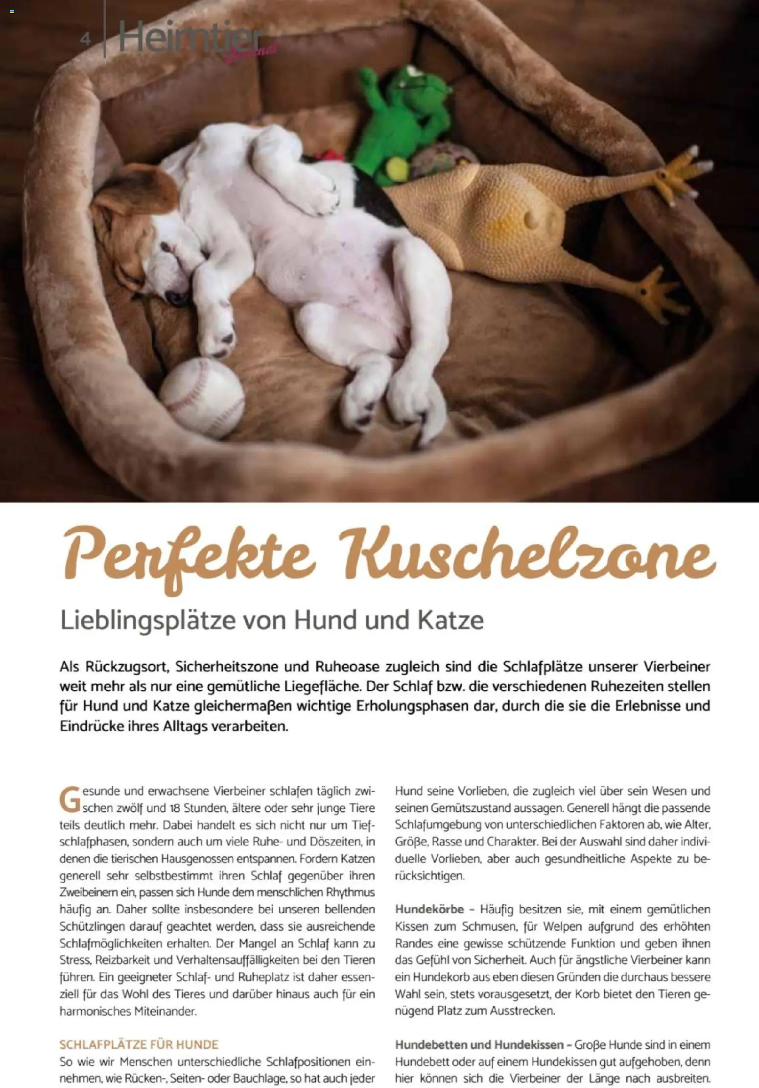 zookauf Heimtier Journal – gültig ab 01.10.2026 | Seite: 4 | Produkte: Kissen, Korb