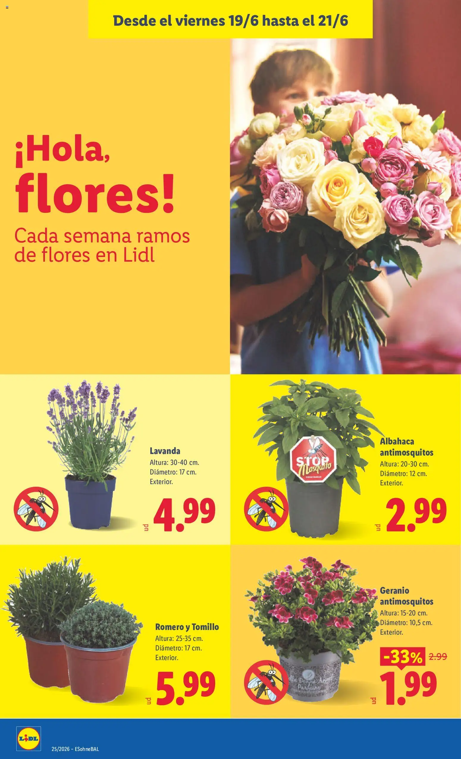 Lidl folleto │ válido desde el 15.06.2026 | Página: 64