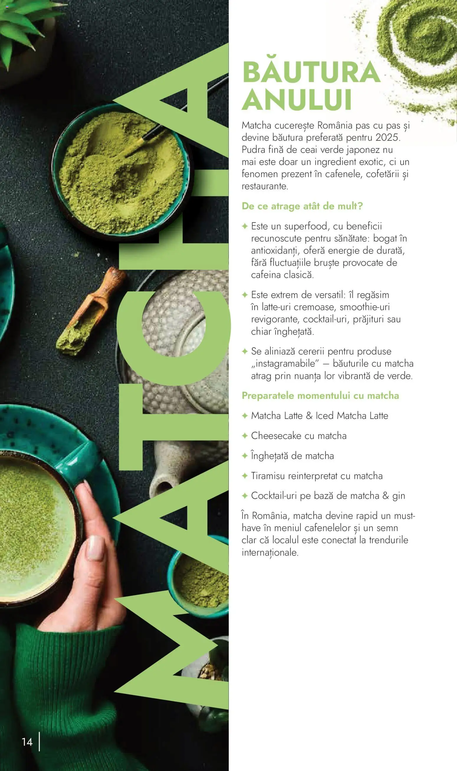 Noul catalog Metro – valabil de la 10.11.2025 | Pagină: 14 | Produse: Pudră, Ceai, Gin, Înghețată