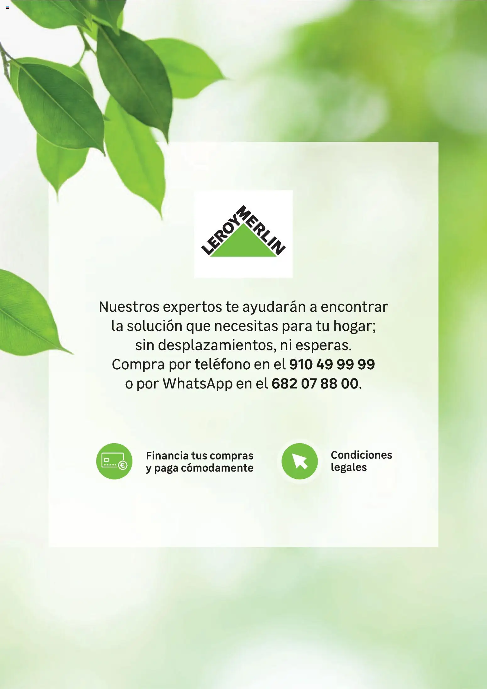 Leroy Merlin catálogo │ válido desde el 24.03.2026 | Página: 135 | Productos: Té, Teléfono
