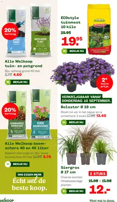 Welkoop folder - Voorbeeld van een folder van Welkoop, geldig van 07-09-2026 | Pagina: 26