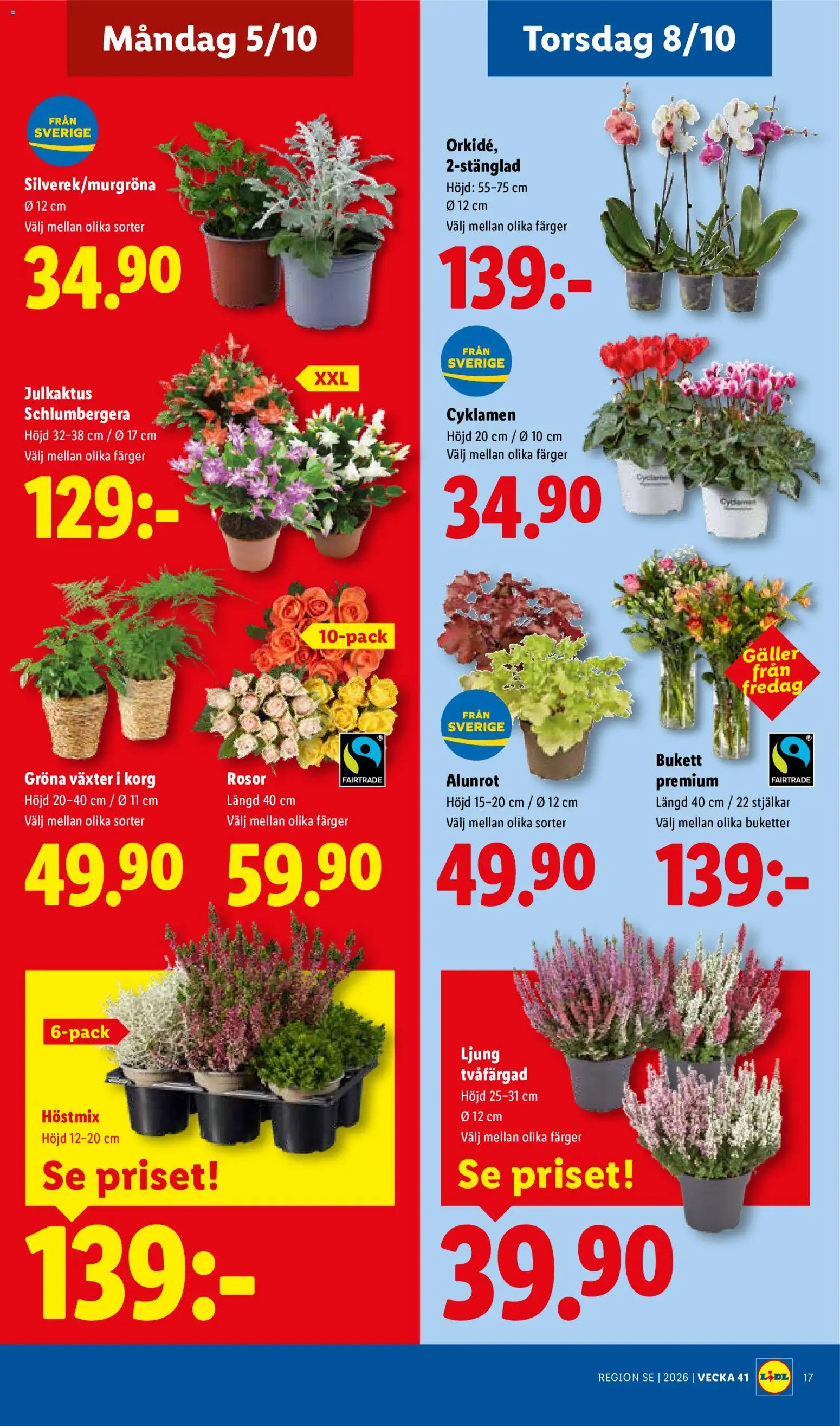 Lidl reklamblad aktuell från 05/10/2026 | Sida: 22
