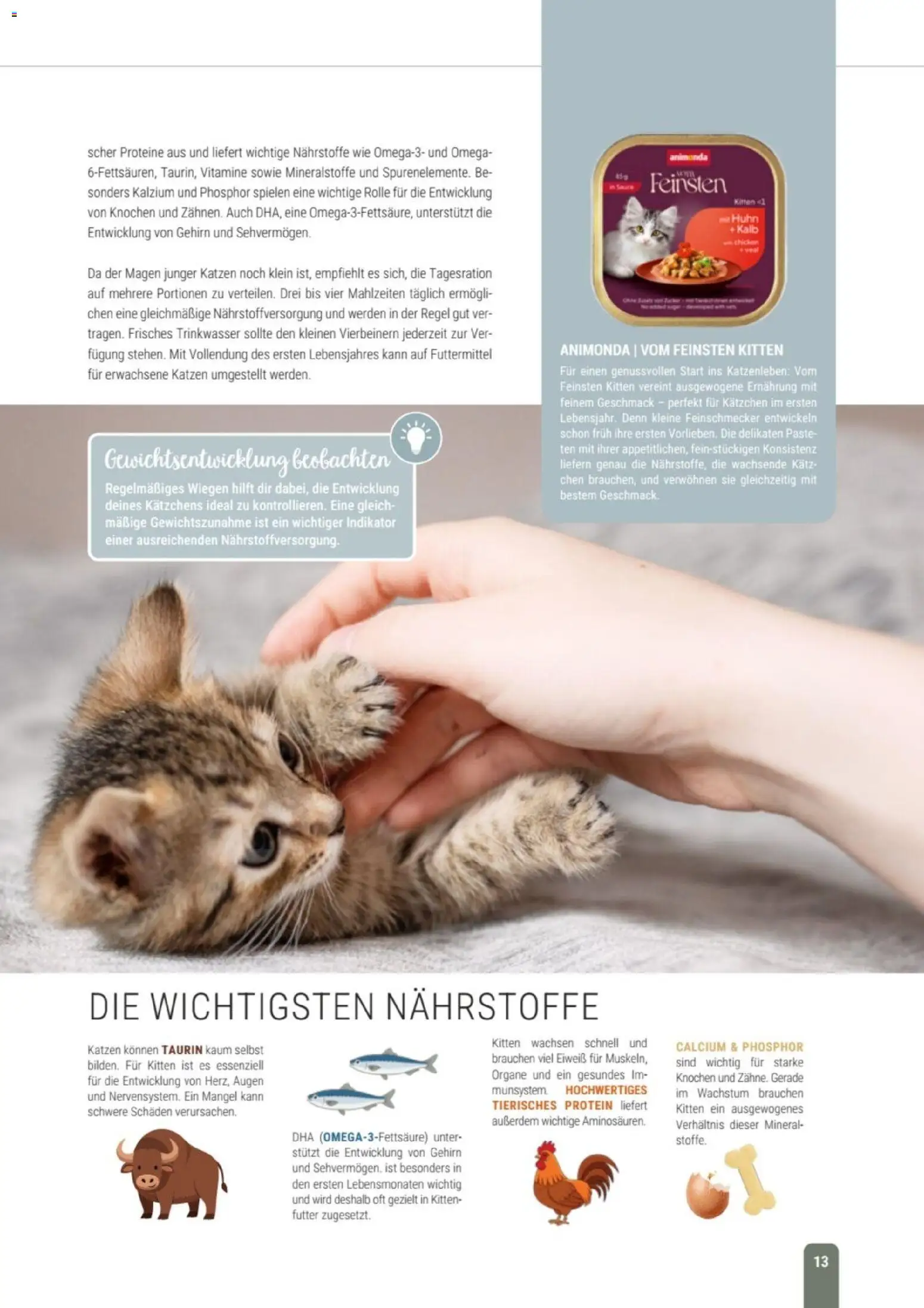 zookauf Themenkatalog Katze – gültig ab 01.10.2026 | Seite: 13