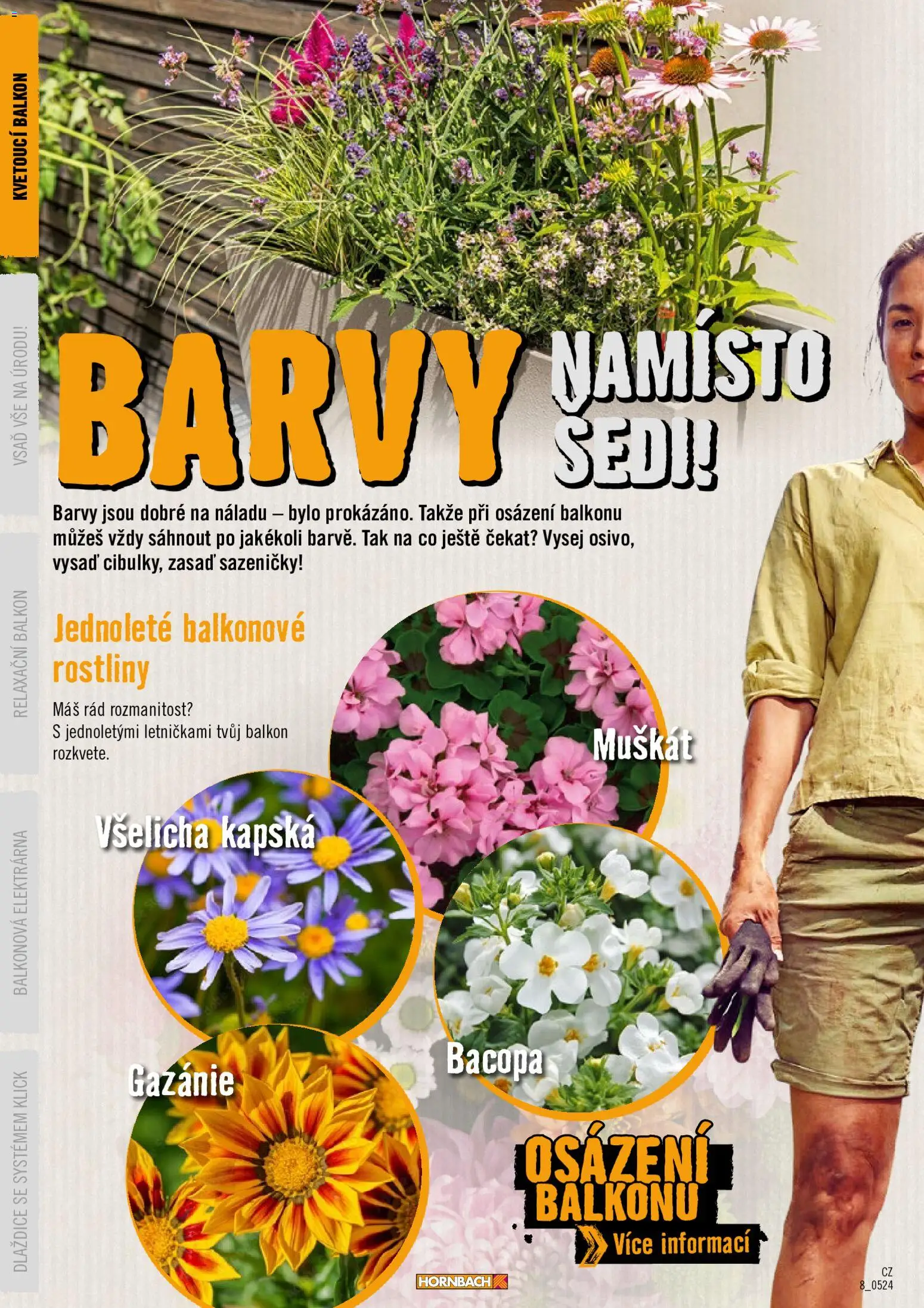 HORNBACH leták - Balkón od 01.01.2026 | Strana: 8 | Produkty: Rostliny, Barvy