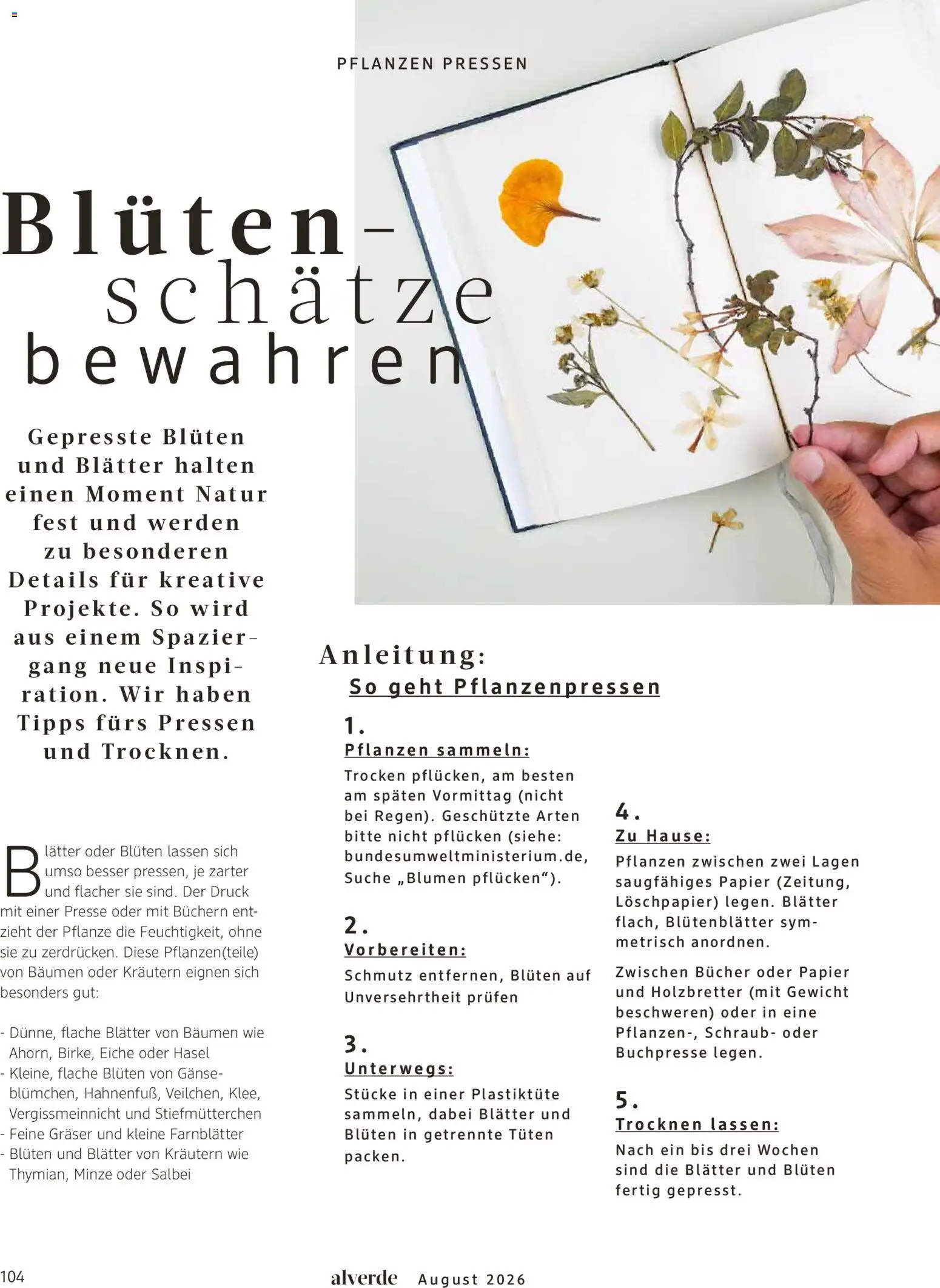 dm drogerie Prospekt – gültig ab 01.08.2026 | Seite: 104