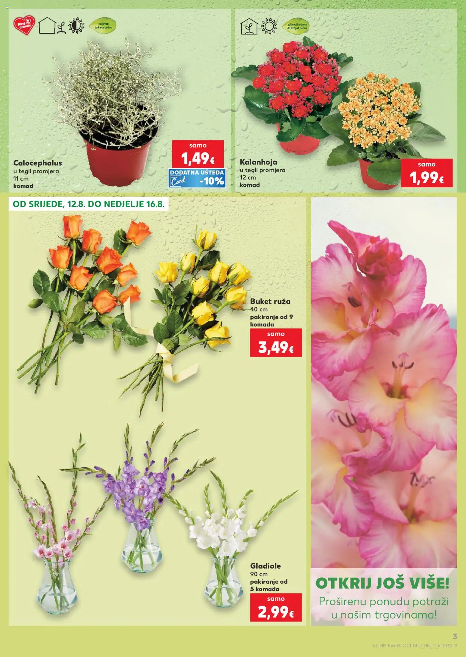Kaufland katalog | vrijedi od 12.08.2026 | Stranica: 3