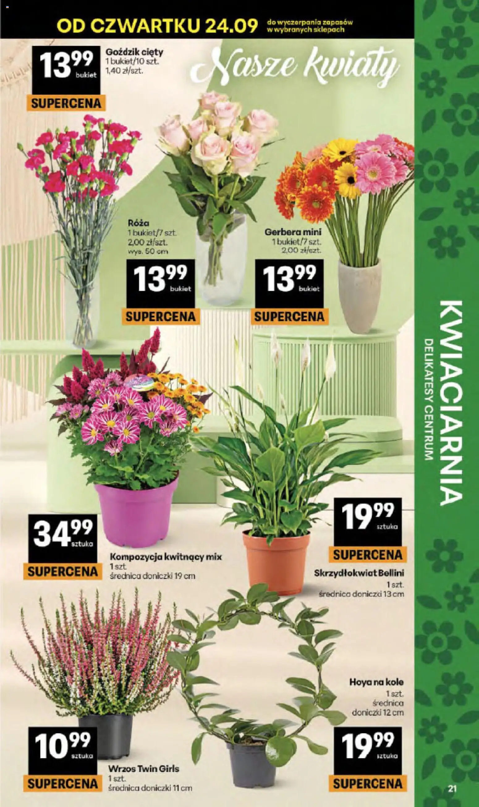 Delikatesy Centrum gazetka - Sklepy Własne od 24.09.2026 | Strona: 21 | Produkty: Delikatesy, Gerbera, Skrzydłokwiat, Kwiaty