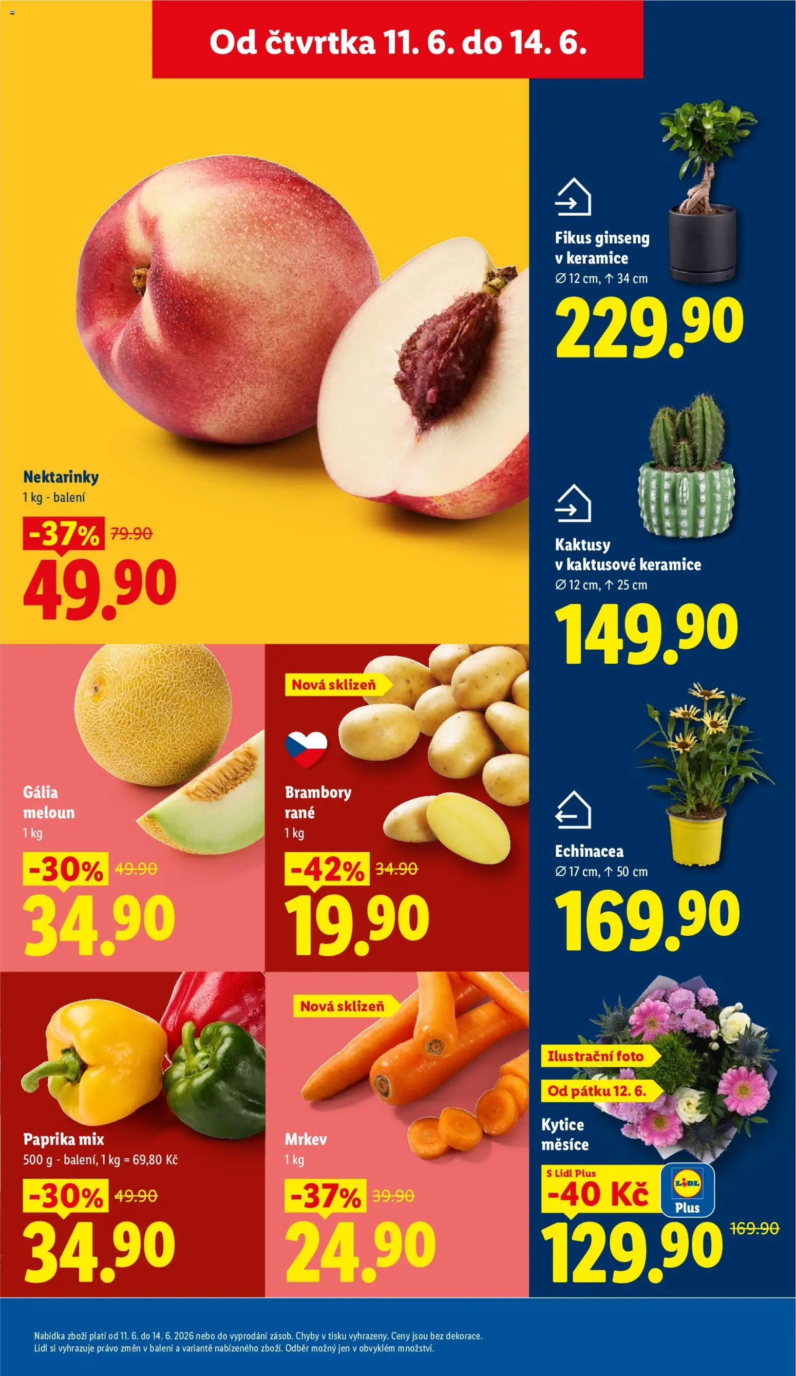 Lidl leták od 11.06.2026 | Strana: 13 | Produkty: Mrkev, Nektarinky, Paprika, Brambory