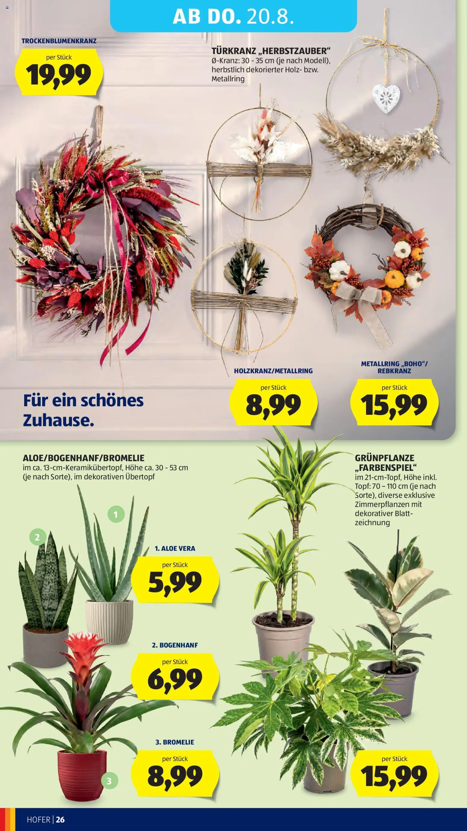 Hofer AT akciós ujság - amely érvényes a következő dátumtól: 2026.08.14. | Oldal: 40 | Termékek: Aloe vera