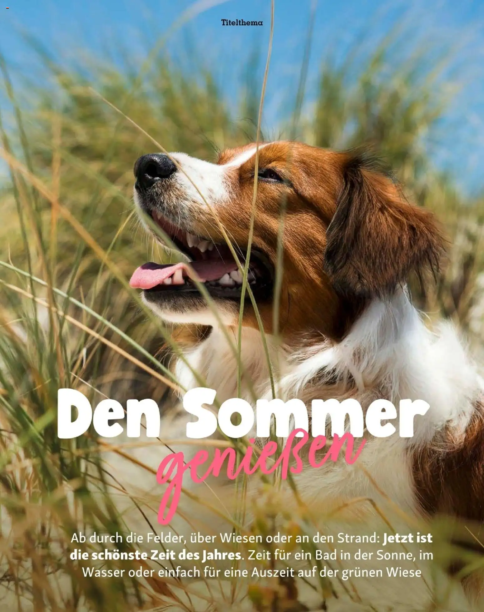 Fressnapf Friends 07,08/26 gültig ab 01.07.2026 | Seite: 11 | Produkte: Wasser, Bad