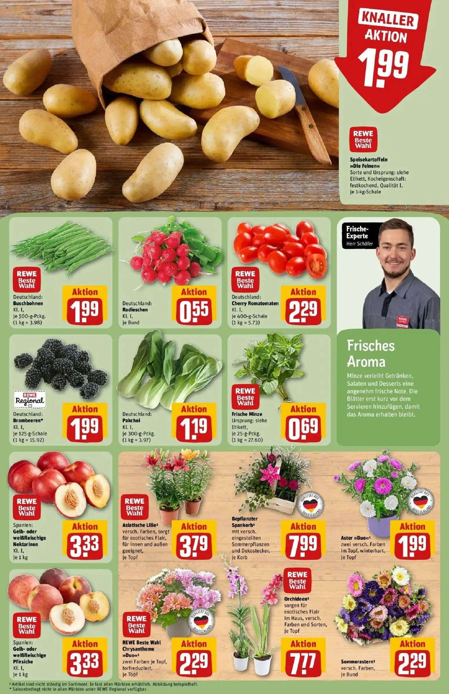 REWE Prospekt ab 03.08.2026 zum Blättern » Angebote | Seite: 7 | Produkte: Nektarinen, Korb