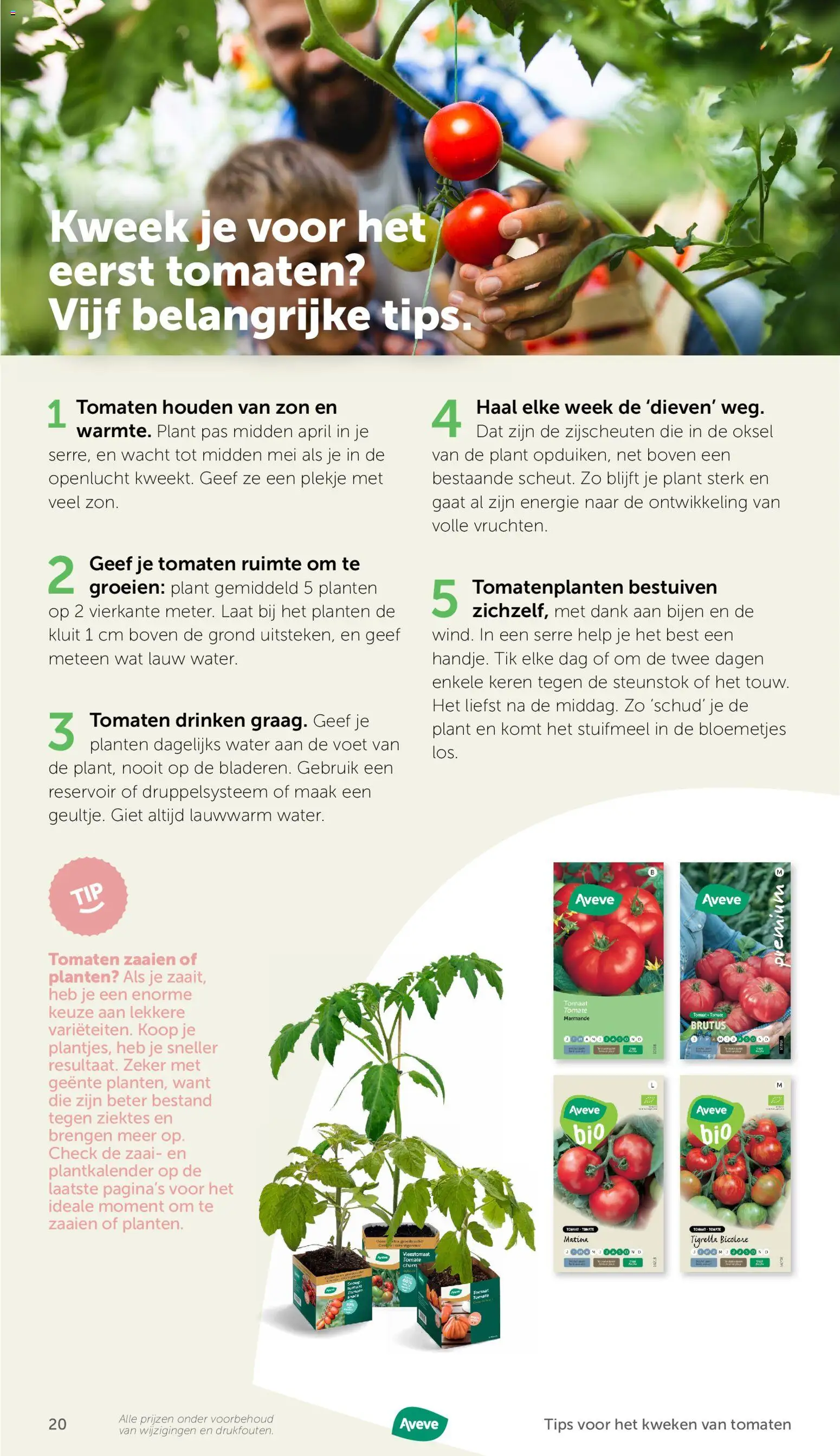 {H1} | Pagina: 20 | Producten: Tomaten, Tomaat