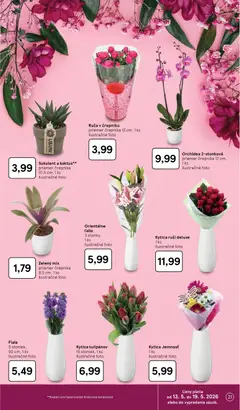 Tesco leták platný od 13.05.2026 | Strana: 21