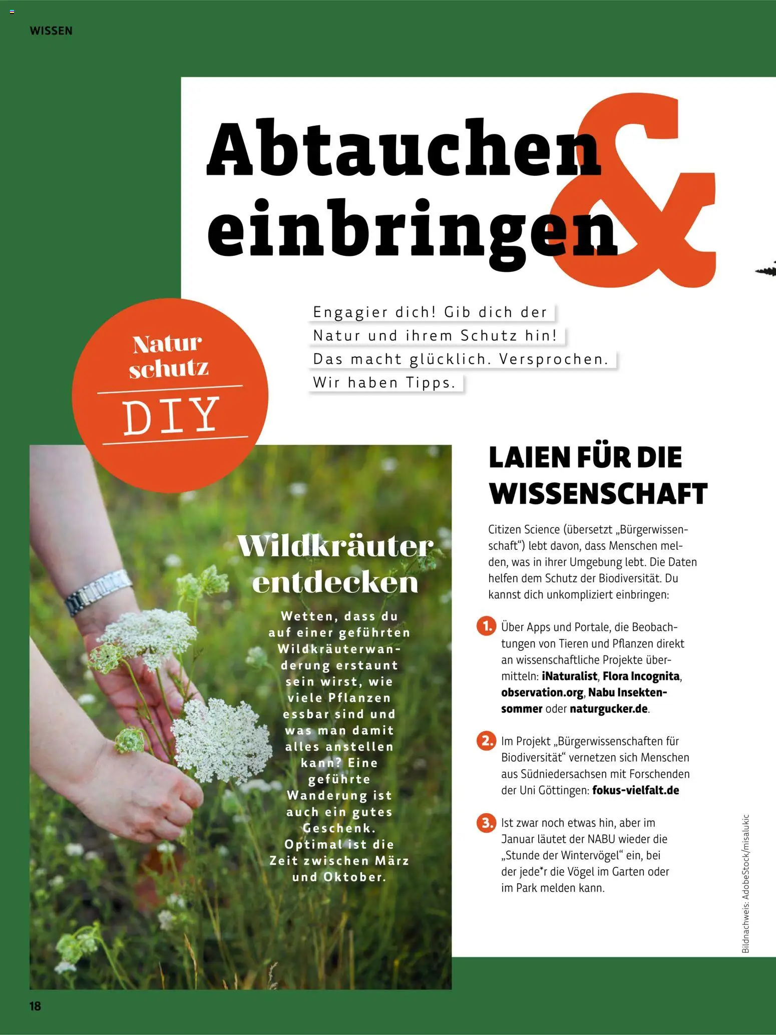 Denns BioMarkt Kreo Magazin – gültig ab 17.07.2026 | Seite: 18