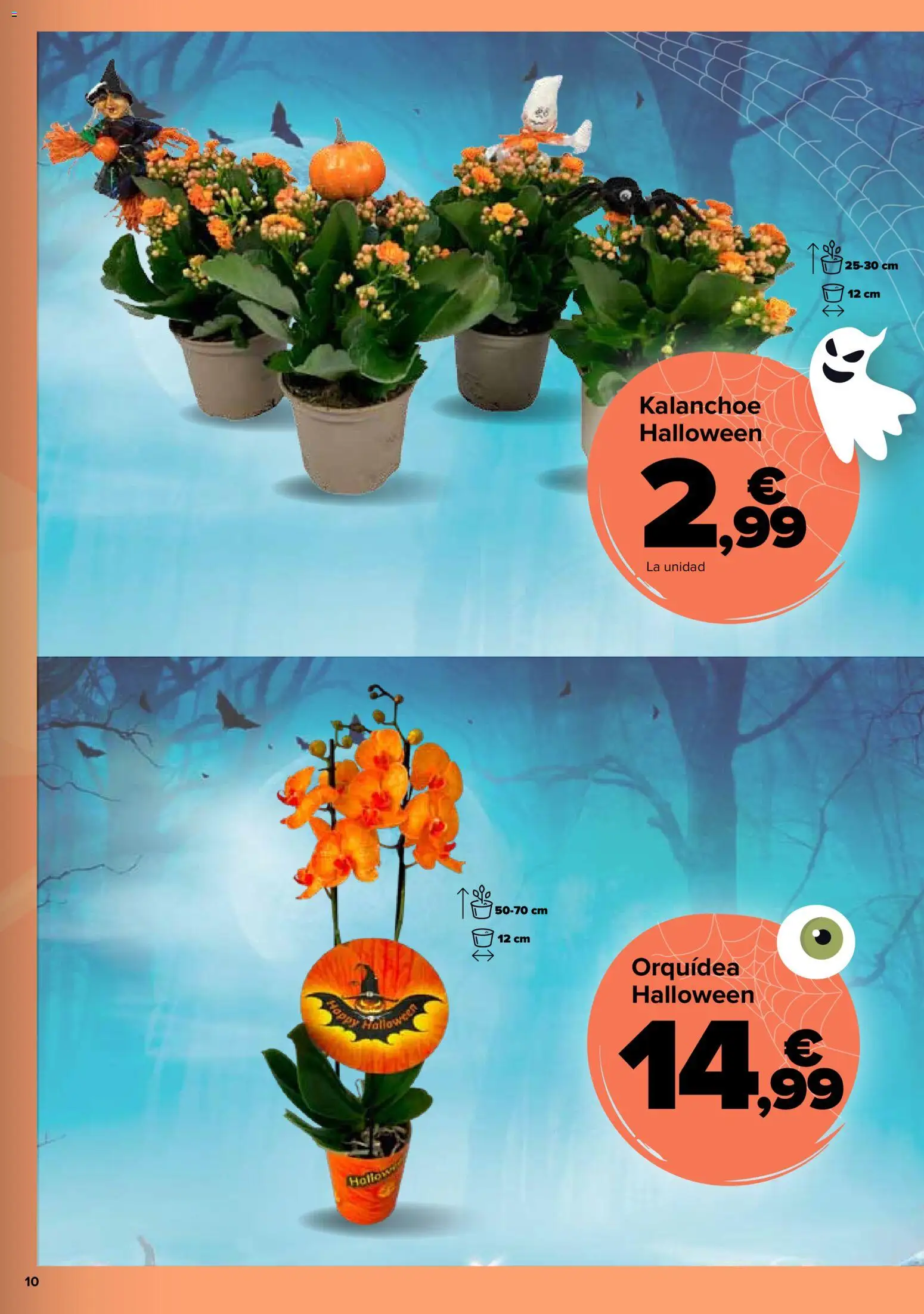 Carrefour Halloween │ válido desde el 06/10/2026 | Página: 10 | Productos: Orquídea
