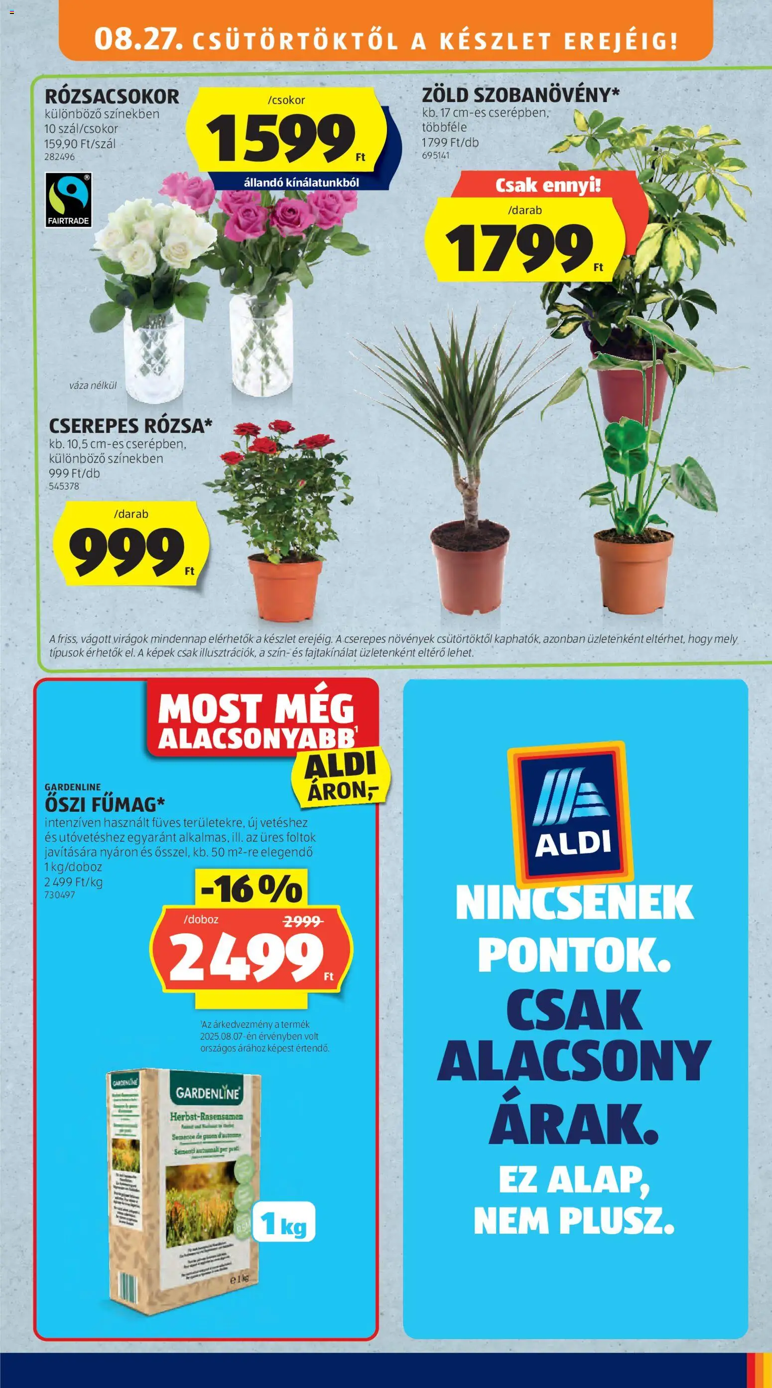 Aldi akciós ujság - amely érvényes a következő dátumtól: 2026.08.27. | Oldal: 41 | Termékek: Virágok, Rózsacsokor, Váza, Rosé