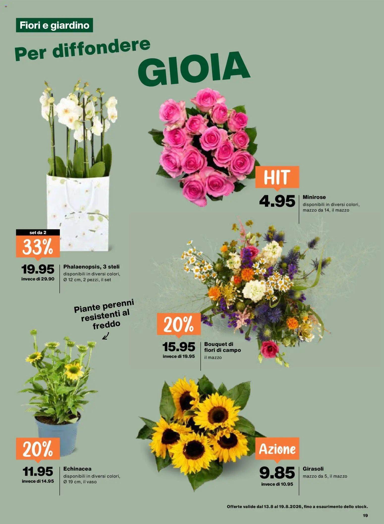 Migros aktionen IT – gültig ab 13.08.2026 | Seite: 19
