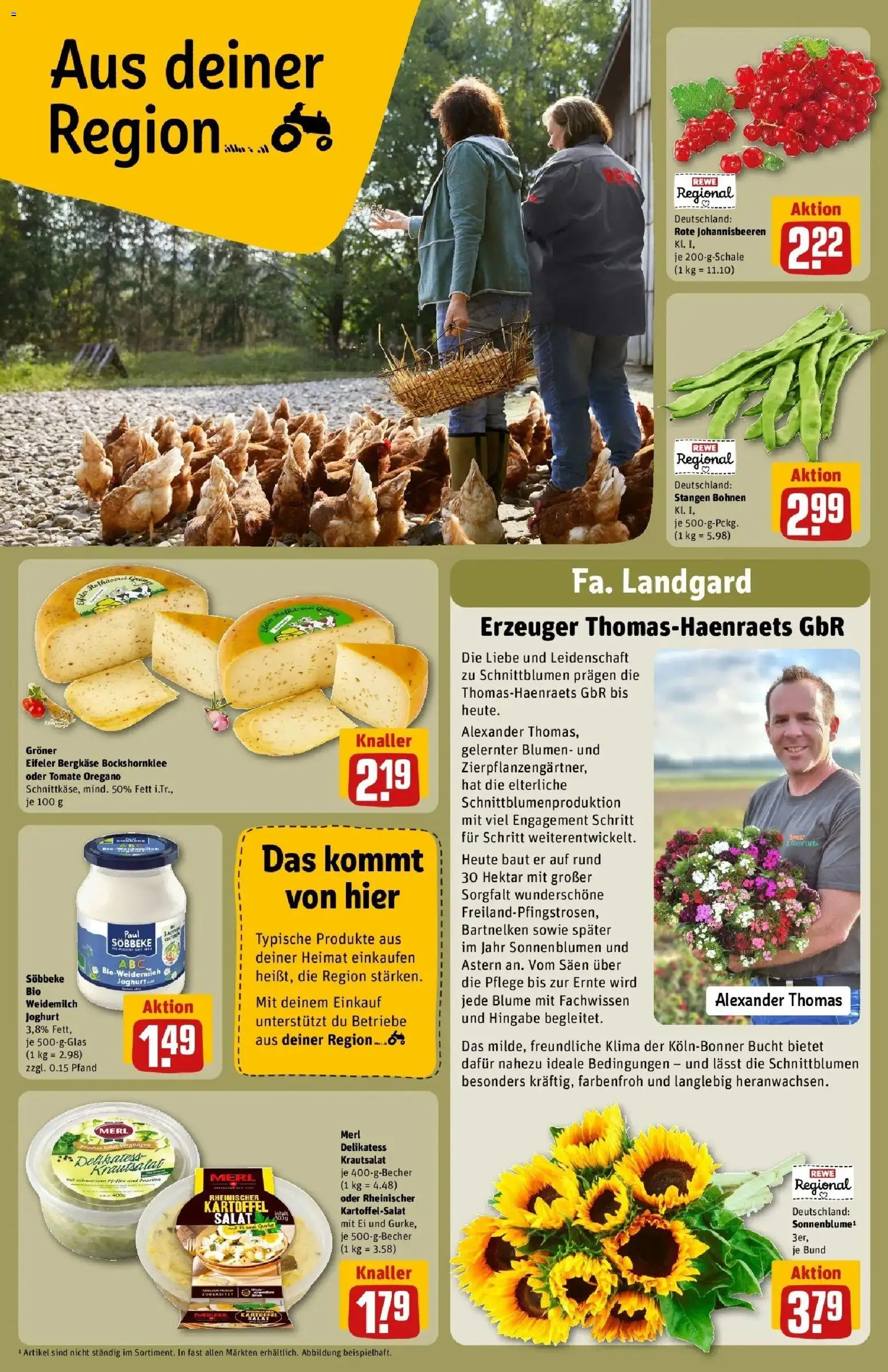 REWE Prospekt ab 24.08.2026 zum Blättern » Angebote | Seite: 22 | Produkte: Joghurt, Blumen, Pfeffer, Salat