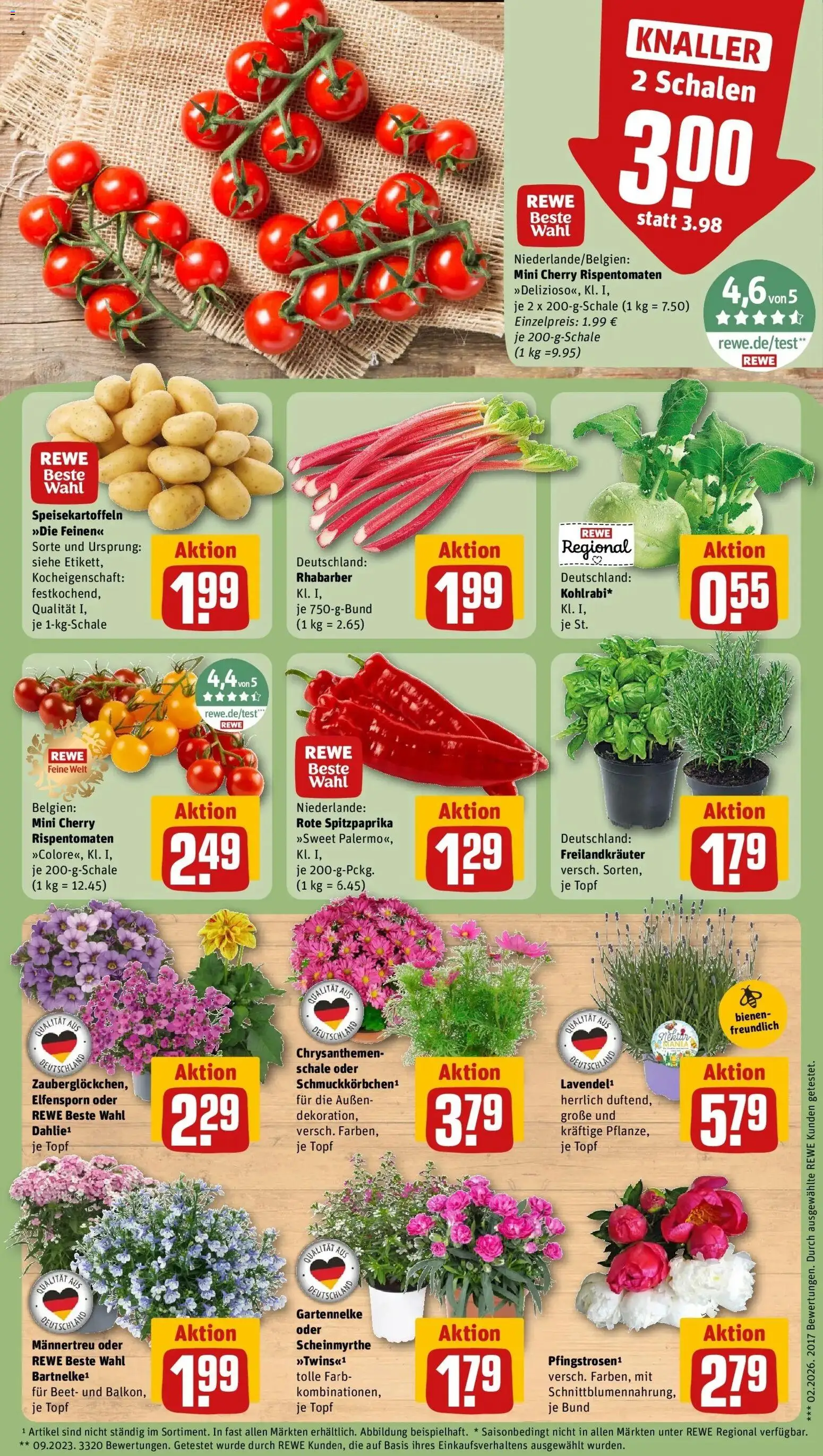 Rewe Prospekt Gechingen – gültig ab 01.06.2026 | Seite: 5 | Produkte: Kohlrabi, Rhabarber