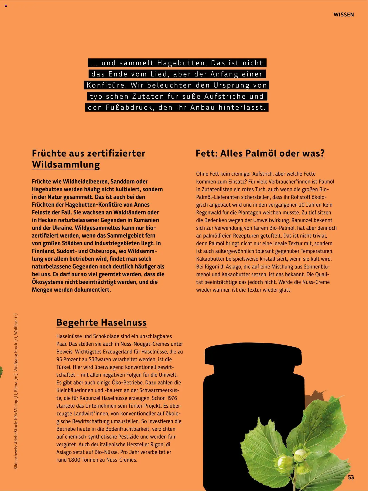 Denns BioMarkt Kreo Magazin – gültig ab 17.07.2026 | Seite: 53 | Produkte: Kakaobutter, Süßwaren, Schokolade, Sanddorn