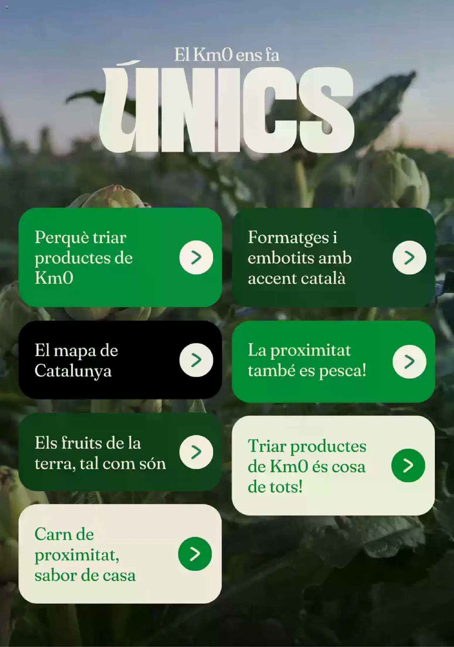 Bonpreu folleto │ válido desde el 15/10/2026 | Página: 2