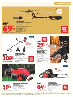 Auchan - Prévisualisation de Auchan Jardinage automne valide à partir de 22/09/2026 | Page: 9 | Produits: Aspirateur, Tronçonneuse, Tondeuse, Souffleur