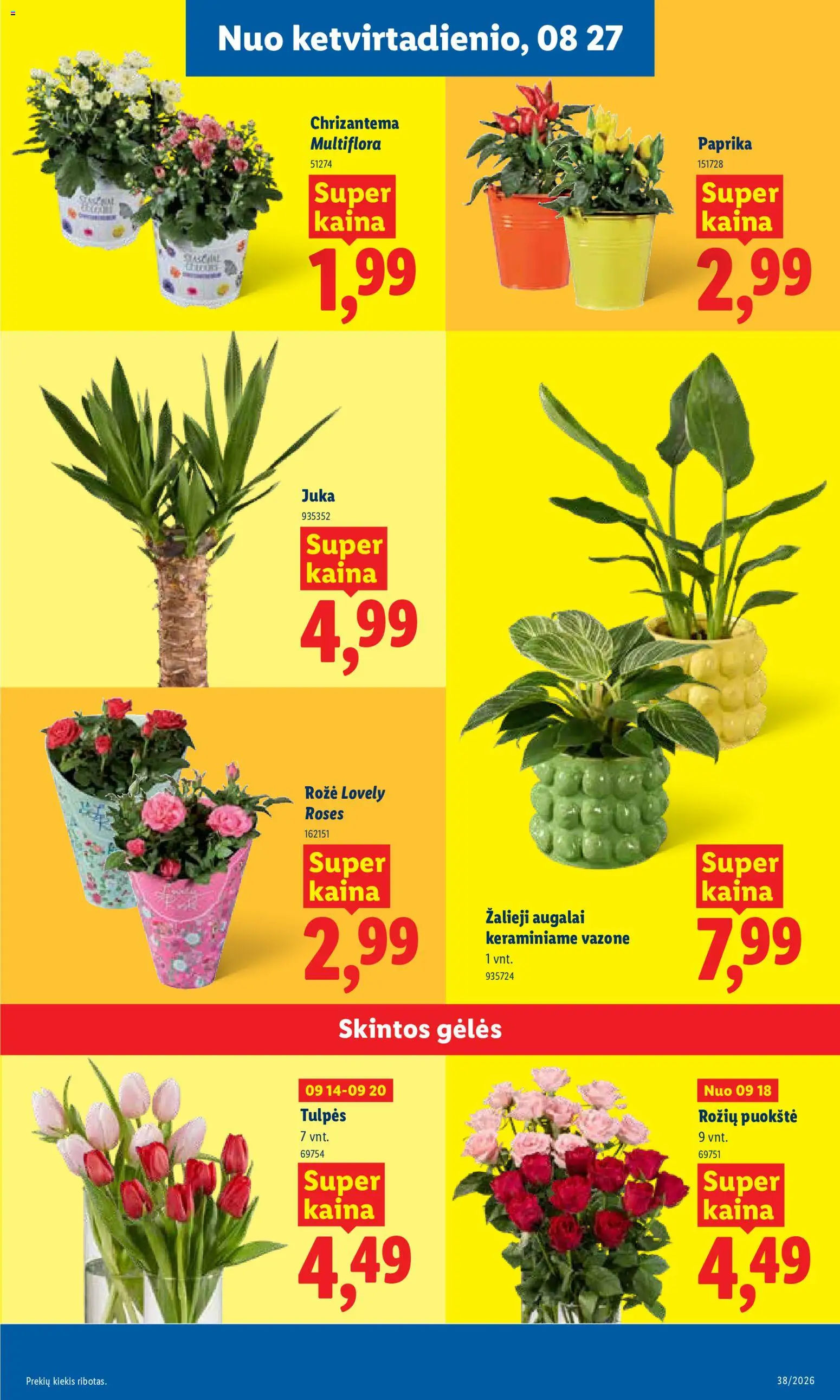 LIDL akcijos nuo 2026.09.14 | Puslapis: 5 | Prekių: Paprika