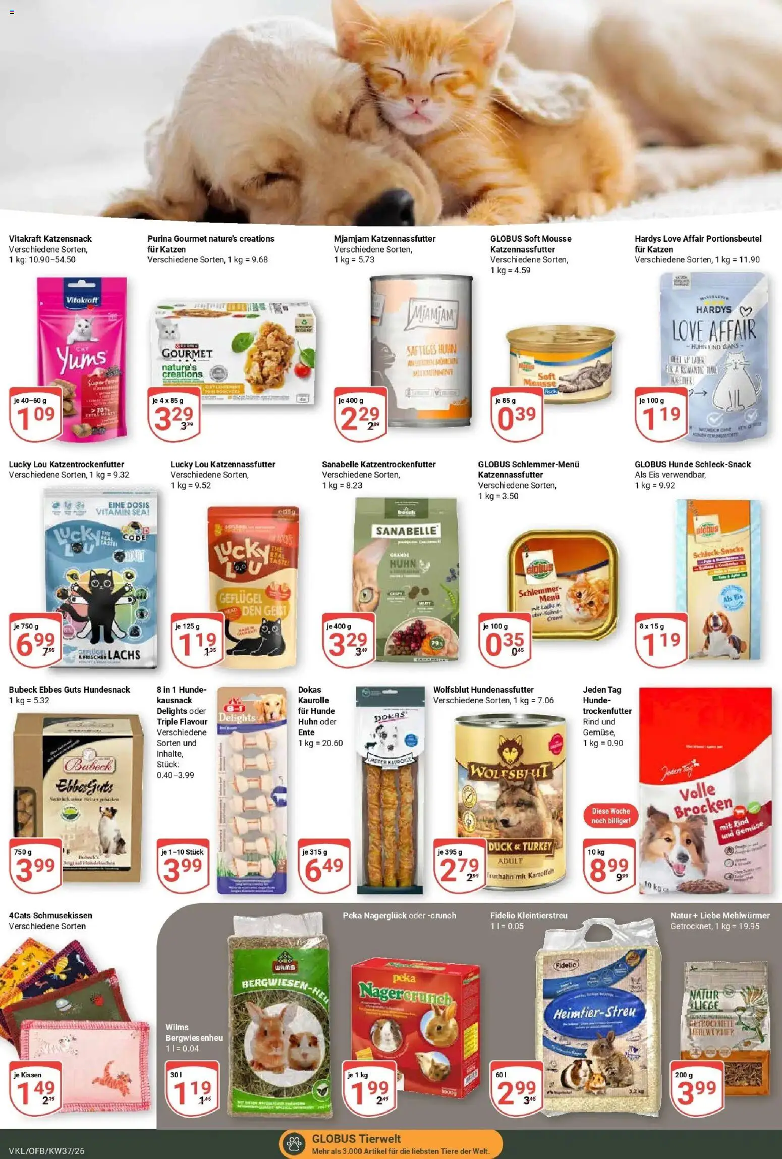 Globus Prospekt Völklingen – gültig ab 07.09.2026 | Seite: 24 | Produkte: Bosch, Liege, Lachs, Gemüse