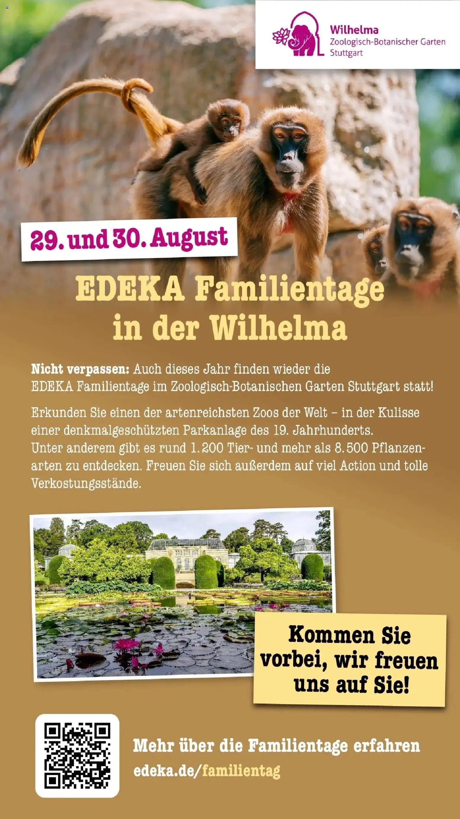 Edeka Prospekt Bühlertal (ab 10.08.2026) » Angebote Online | Seite: 79