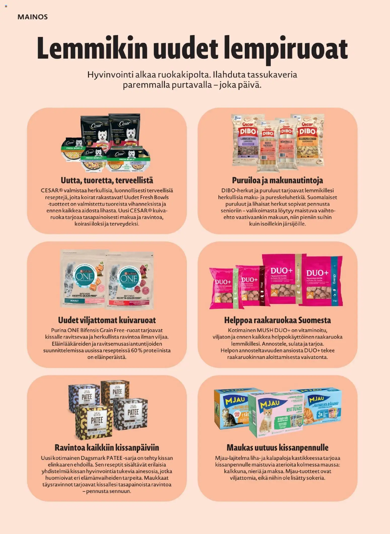 K-Market - Pirkka – voimassa 30/09/2026 alkaen | Sivu: 60