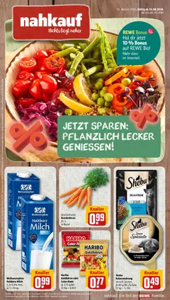 Rewe Prospekt ab 24.08.2026 gültig