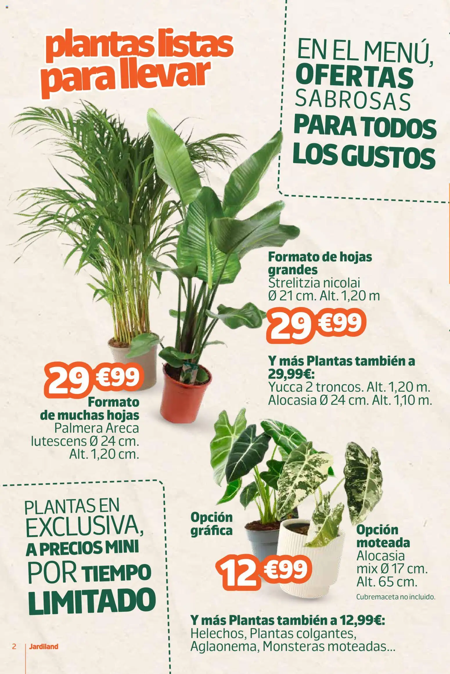 Jardiland folleto │ válido desde el 27/08/2026 | Página: 2