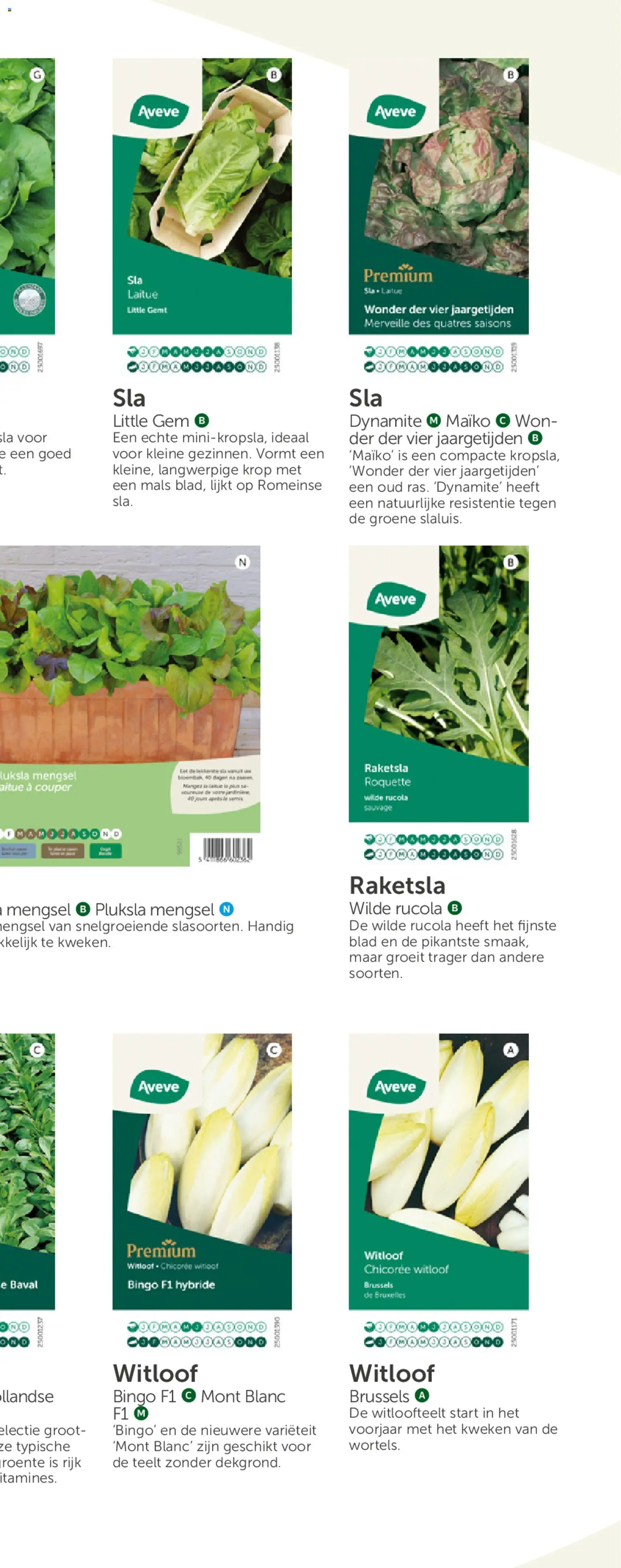 {H1} | Pagina: 19 | Producten: La, Rucola