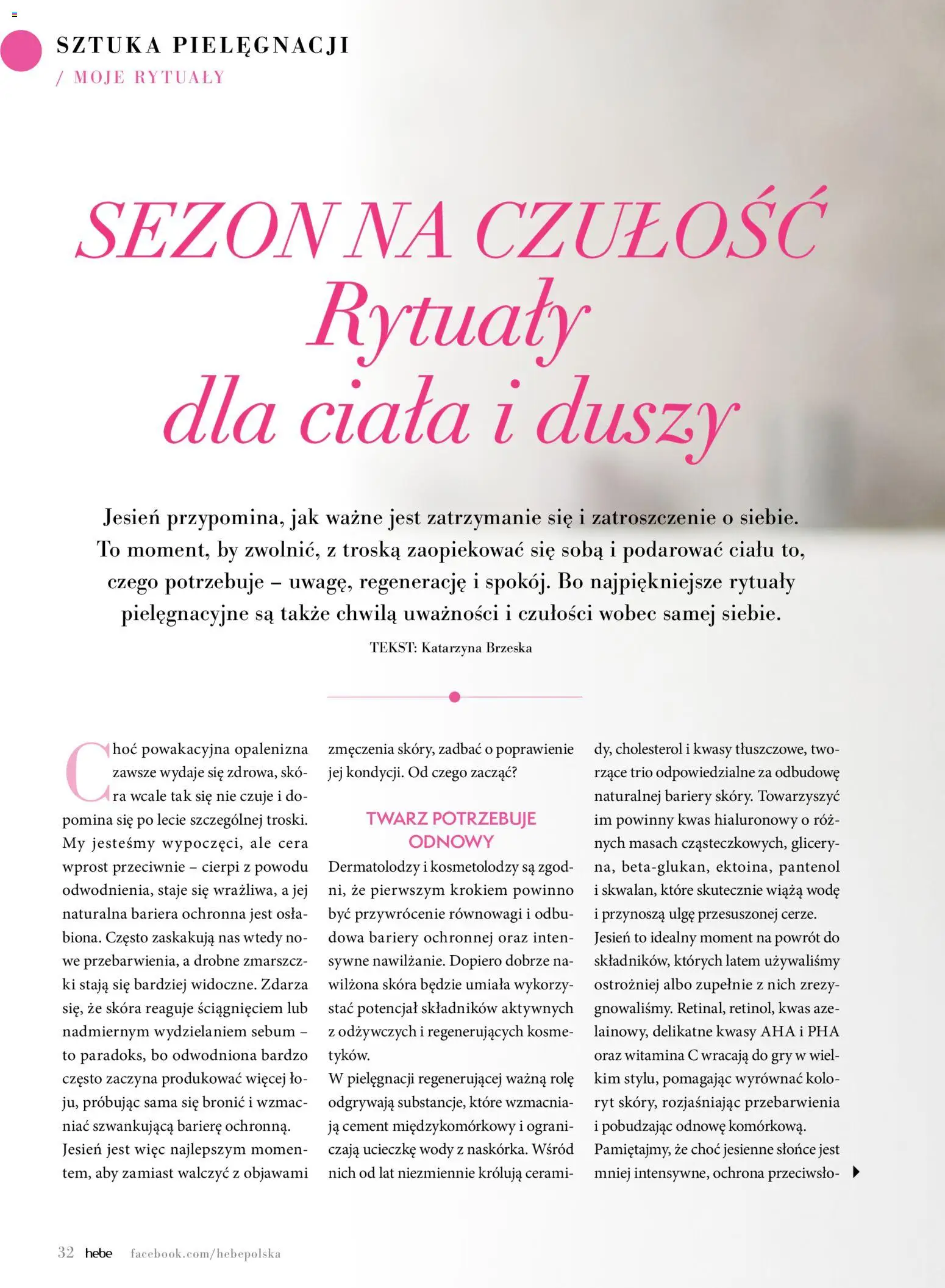 Hebe gazetka - Magazyn od 01.09.2026 | Strona: 32 | Produkty: Cement, Gry, Róż