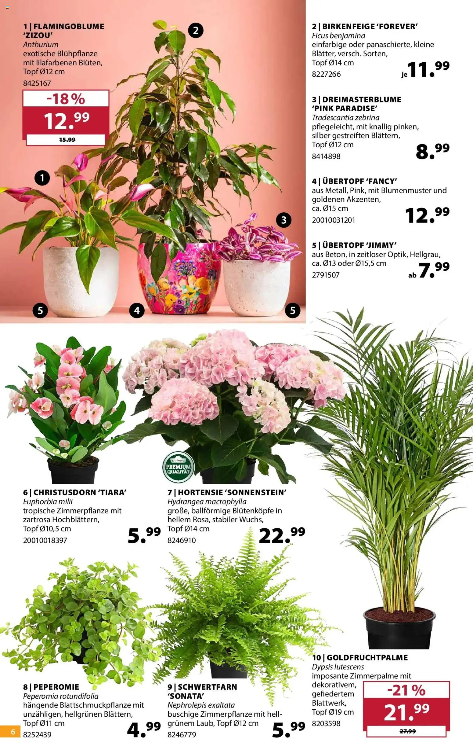 Dehner Garten & Zoo – gültig ab 19.05.2026 | Seite: 6 | Produkte: Hortensie
