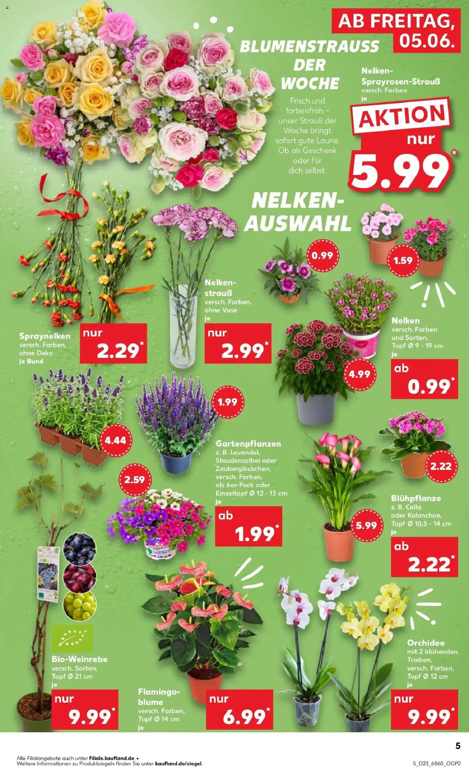 Kaufland Prospekt Hermeskeil – gültig ab 01.06.2026 | Seite: 12 | Produkte: Orchidee, Vase