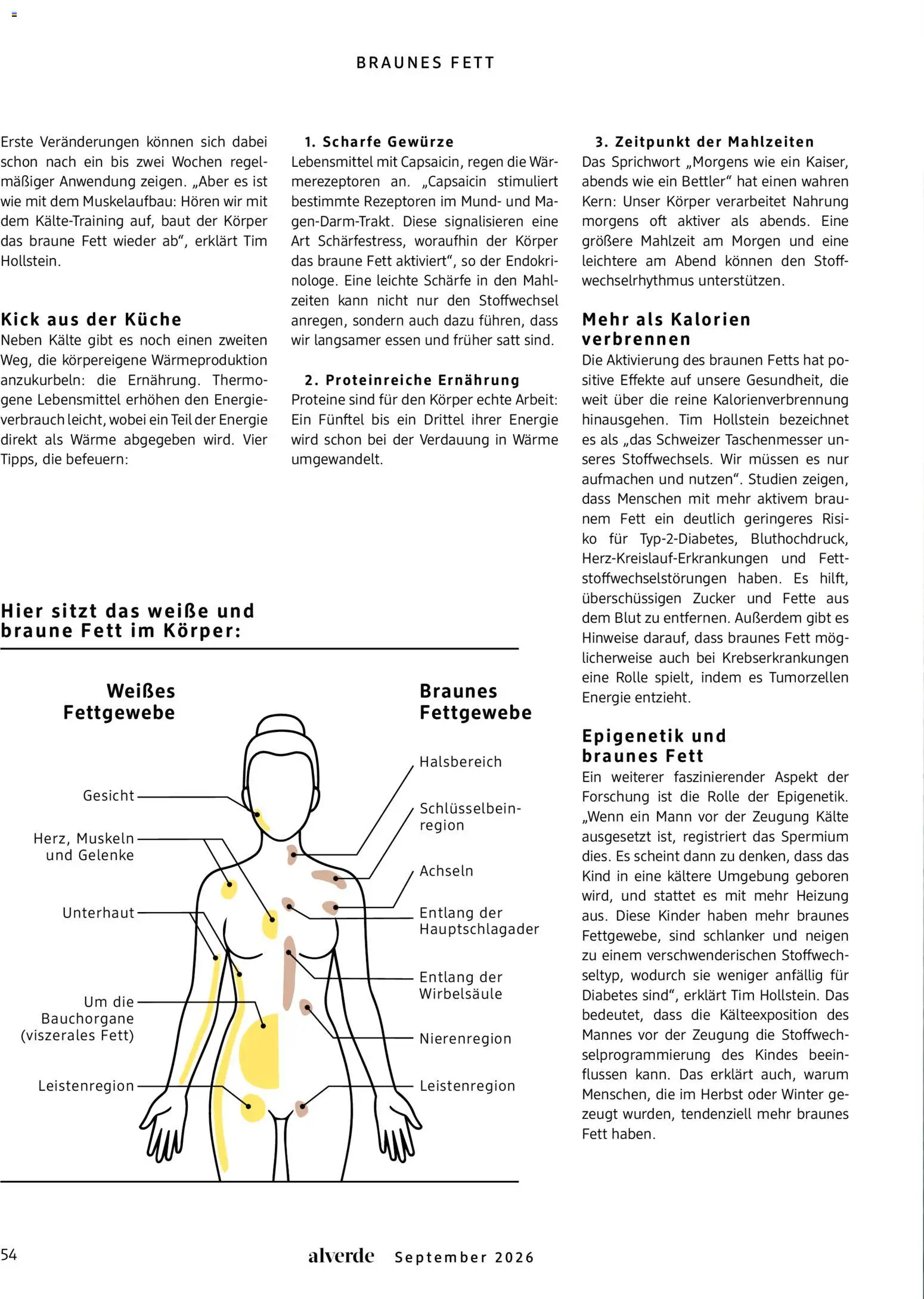 dm drogerie Prospekt – gültig ab 01.09.2026 | Seite: 54 | Produkte: Küche, Gewürze, Zucker