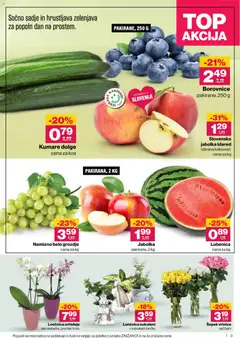 Mercator katalog akcije – veljaven od 26.06.2026 | Stran: 3 | Izdelki: Grozdje, Kos, Zelenjava, Sadje