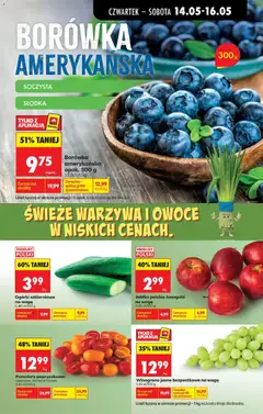 Pogląd oferty "Borówka amerykańska, opak. 300 g" - ważna od 14.05.2026 | Strona: 27 | Produkty: Winogrono, Borówka amerykańska, Ogórki, Pomidory papryczkowe
