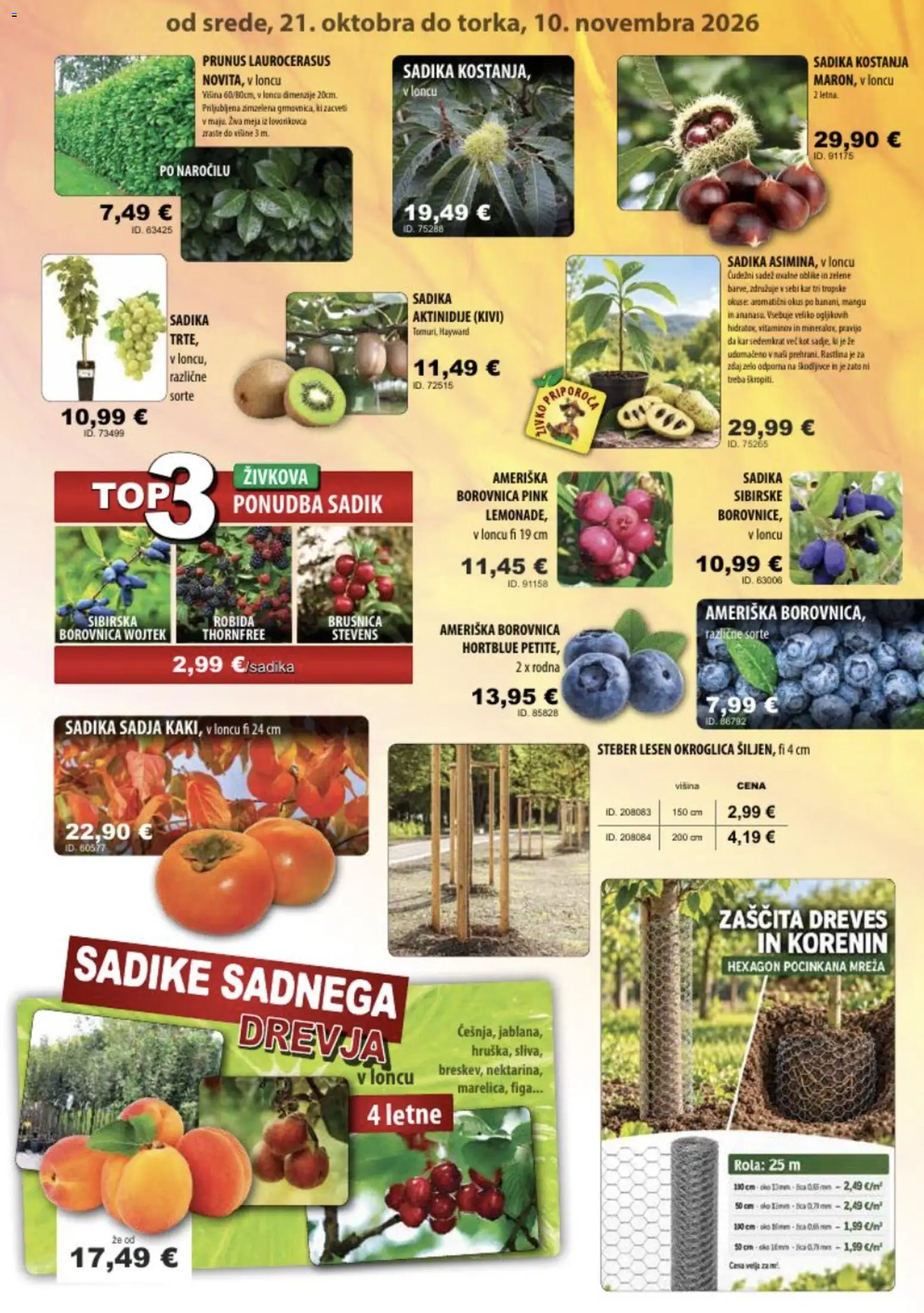 Novi Živex katalog ponudbe – veljaven od 21.10.2026 | Stran: 3 | Izdelki: Kivi