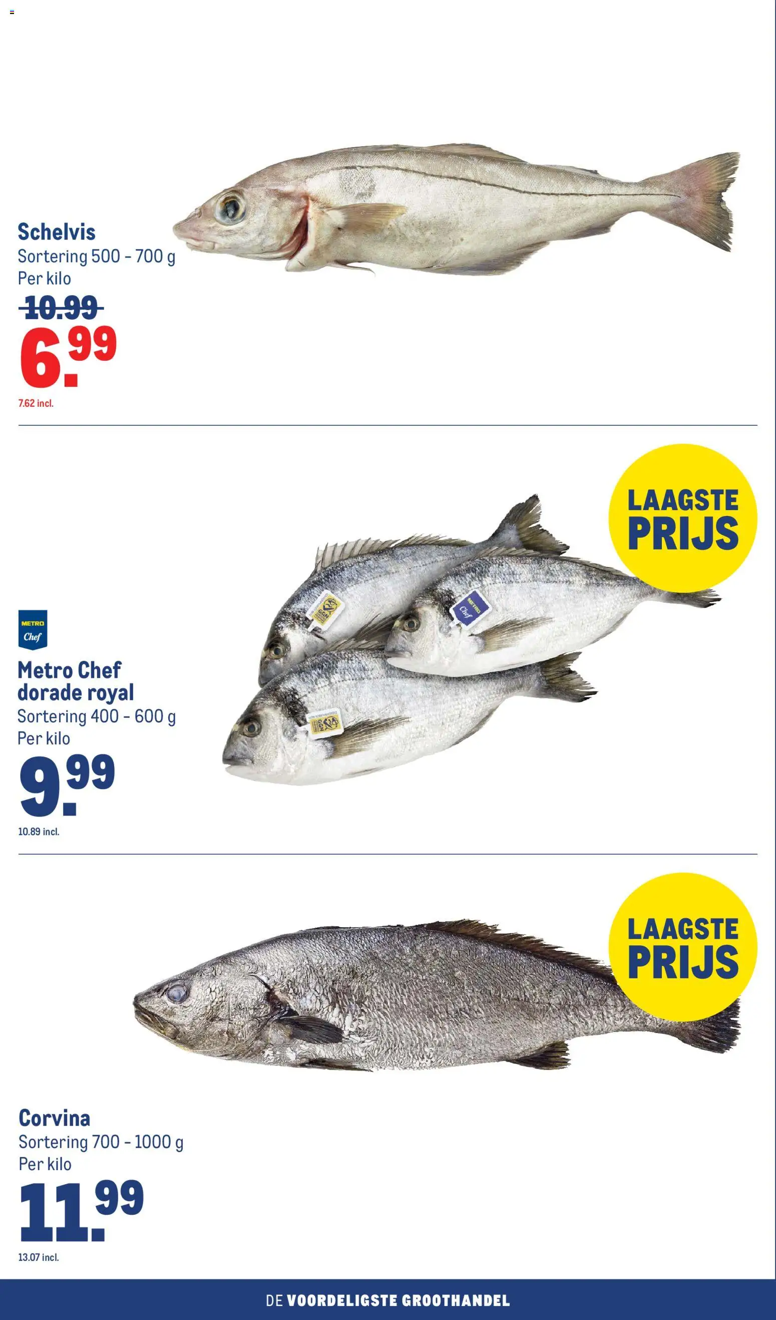 {H1} | Pagina: 38