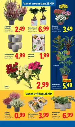 Keramische pot, Potmaat: Ø 13 cm, Hoogte: ca. 17 cm - Voorbeeld van een folder van Lidl, geldig van 21-09-2026 | Pagina: 16