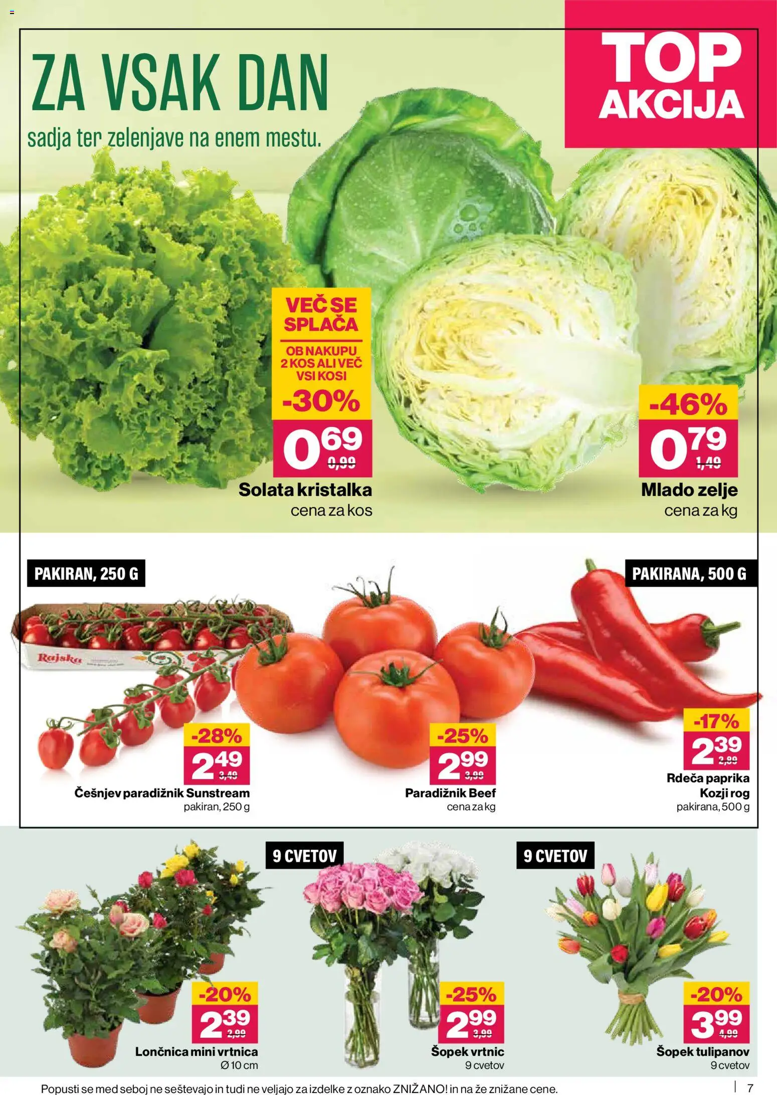 Novi Mercator katalog ponudbe – veljaven od 07.05.2026 | Stran: 7 | Izdelki: Šopek, Paradiznik, Solata, Zelje